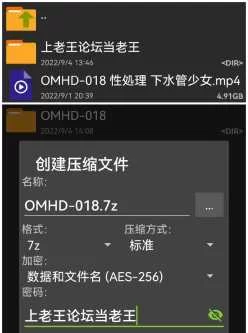 [自行打包] OMHD-018 性処理 下水管少女 花狩舞 [1v+4.9G][百度秒传]
