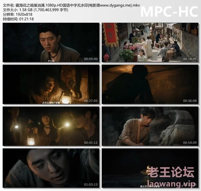 [crazecat下载加速器—www.crazecat.com]藏海花之暗巢汹涌.1080p.HD国语中字-剧照.jpg.jpg