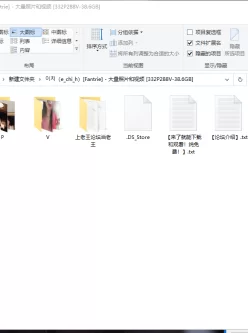 [自行打包] 韩国巨乳嫩模e_chi_h巨大合集 [332P288V+38.6G]