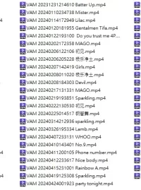 [转载搬运] [VAM][分流] vammmdfan合集 百度分流 大容量警告 [5+541G][百度盘]